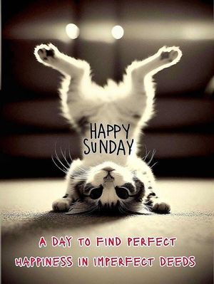 Sunday 02.jpg